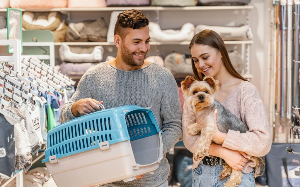 pet relocation companies in Dubai helping the owner