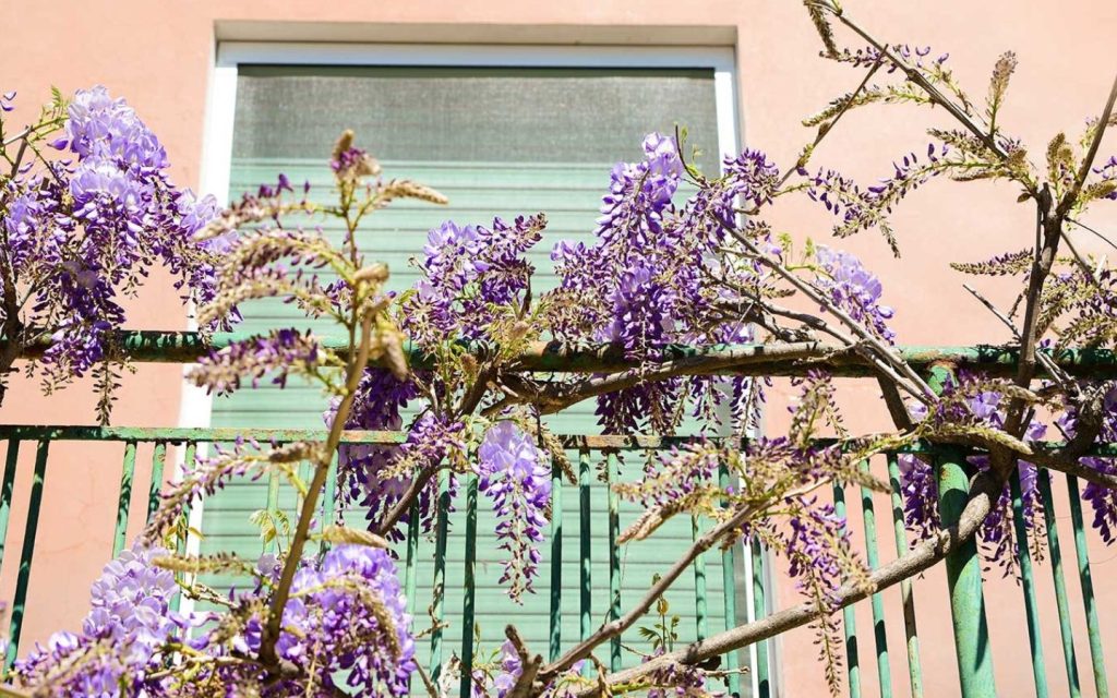 using privacy screens is also among  small balcony decoration ideas