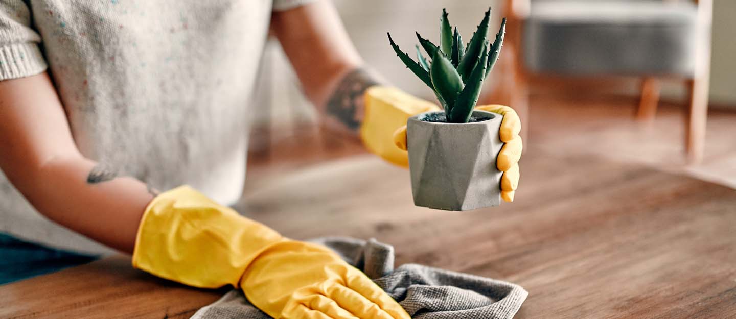 prevent dust in your home