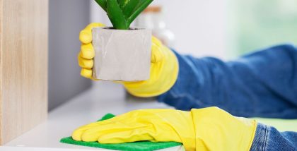 dust prevention and cleaning