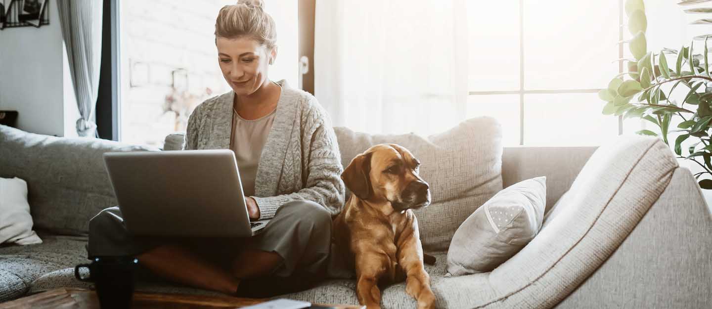 pet friendly areas in abu dhabi