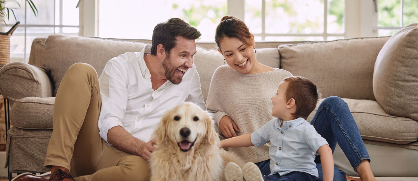 Pet Friendly Areas in Abu Dhabi