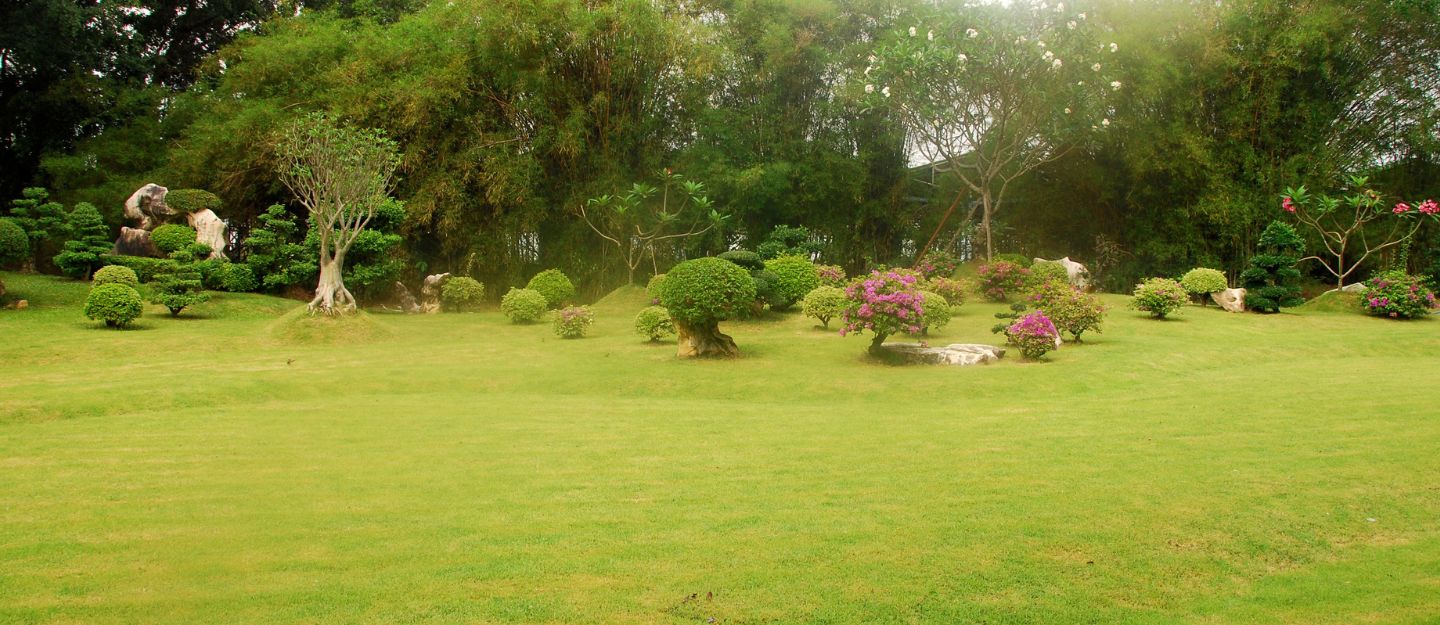 Summer Landscaping Ideas to Beat the Heat in the UAE