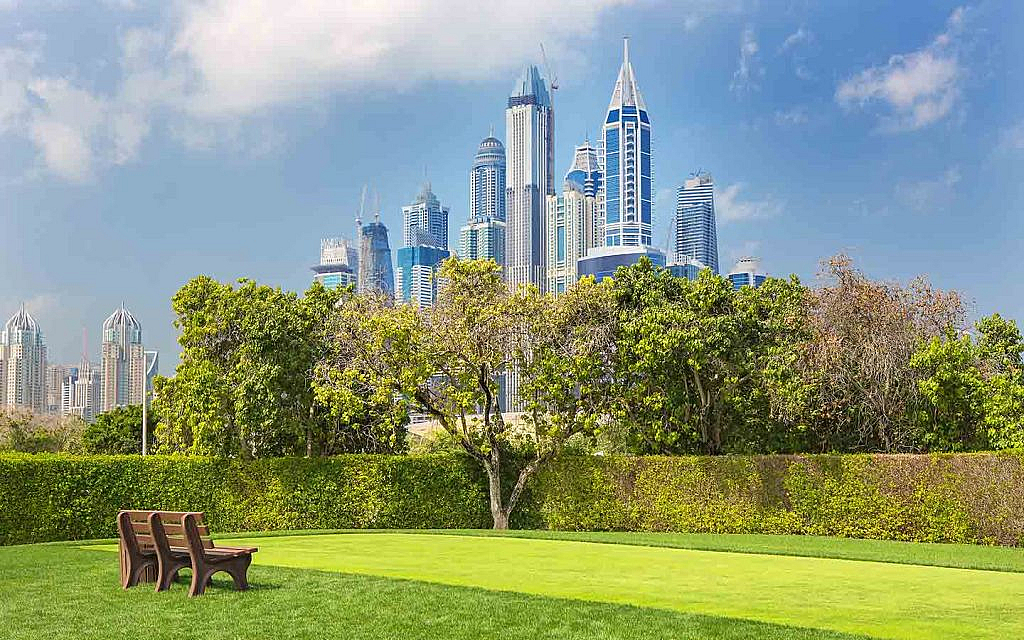 حديقة في دبي