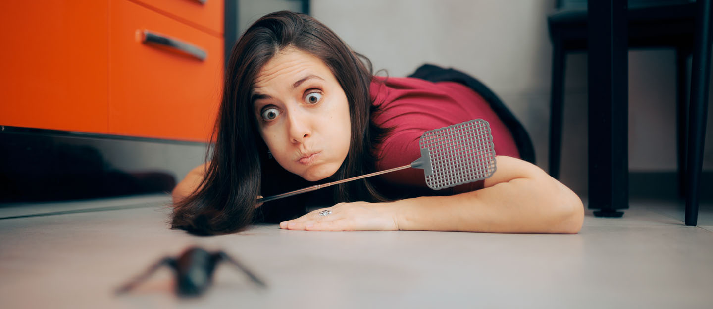 explore the common habits that attract pests