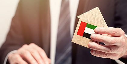 مجسم خشبي لمنزل صغير عليه علم الإمارات
