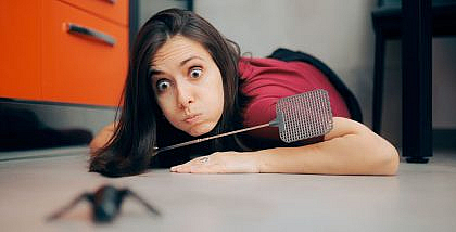 التخلص من الحشرات في المنزل