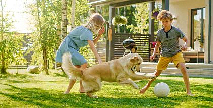 Popular Dog-friendly Areas to Rent Properties in Sharjah
