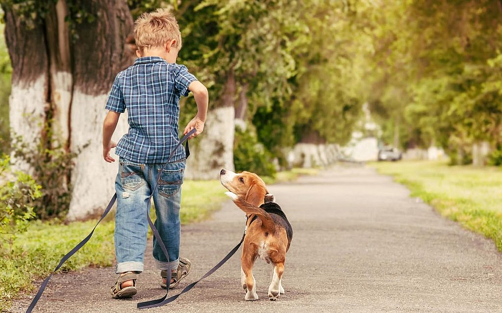 Renting in Dog-friendly Areas in Sharjah