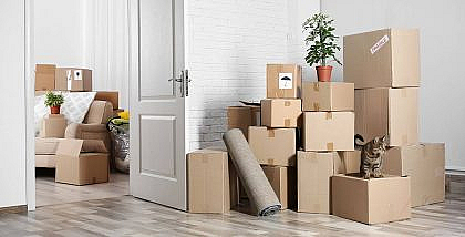 Your Guide to Moving out From Abu Dhabi