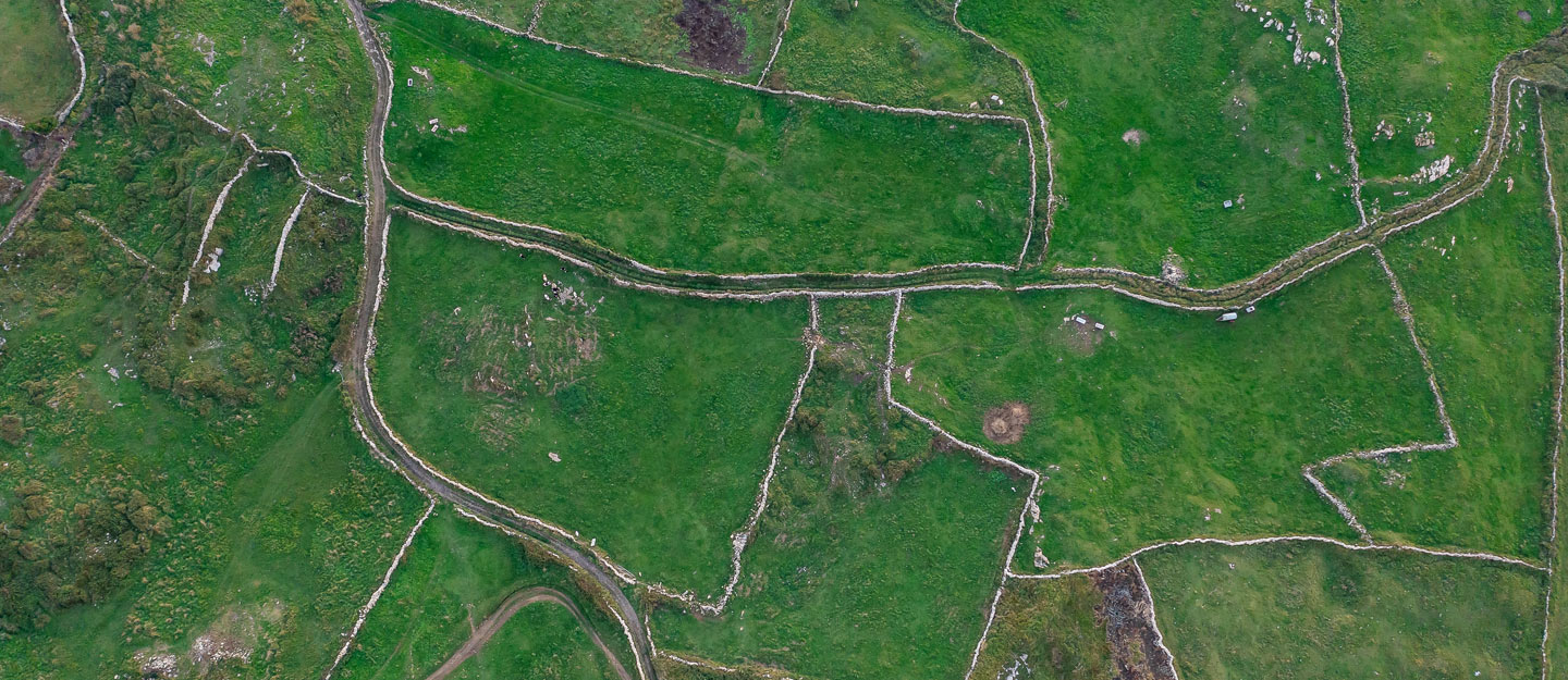 all about Land Demarcation in Umm Al Quwain