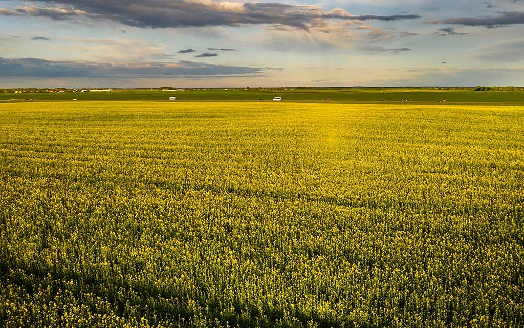 there are several documents required for Land Demarcation in UAQ among different beneficiaries 