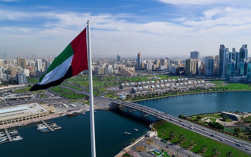 economic development department Sharjah offers important licences