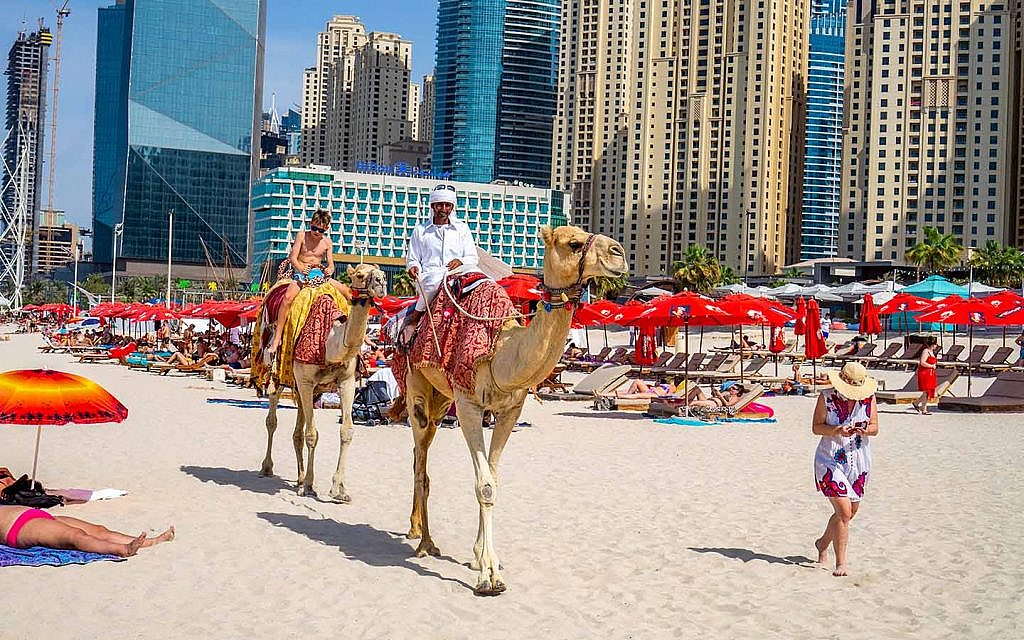 dubai municipality projects  ensure environmental sustainability