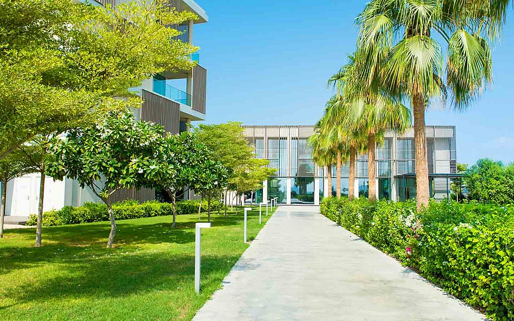 حديقة أمام عقار في عجمان