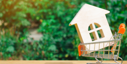 مجسم منزل ومجسم عربة تسوق