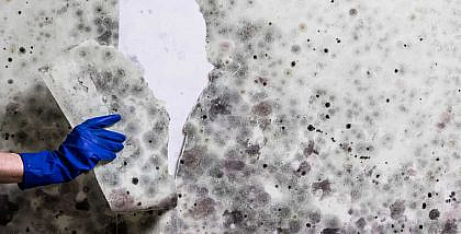 رطوبة على جدران المنزل