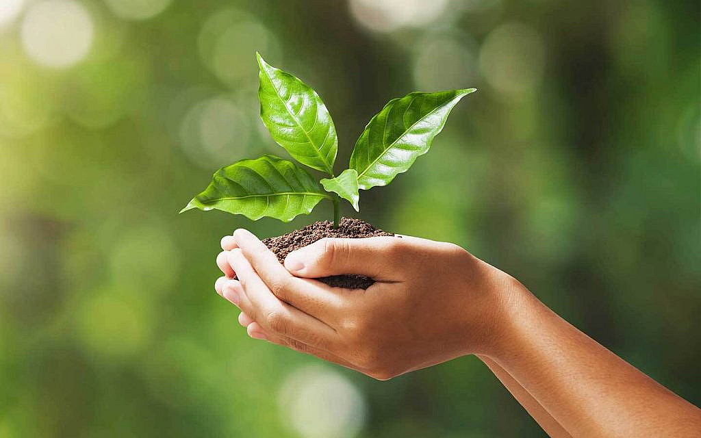 Water conservation and sustainability tips