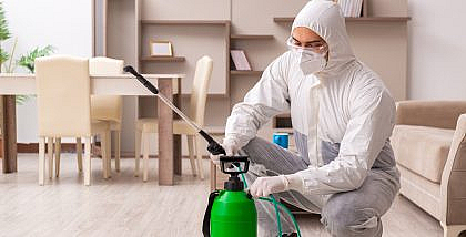 Government pest control services application in Dubai