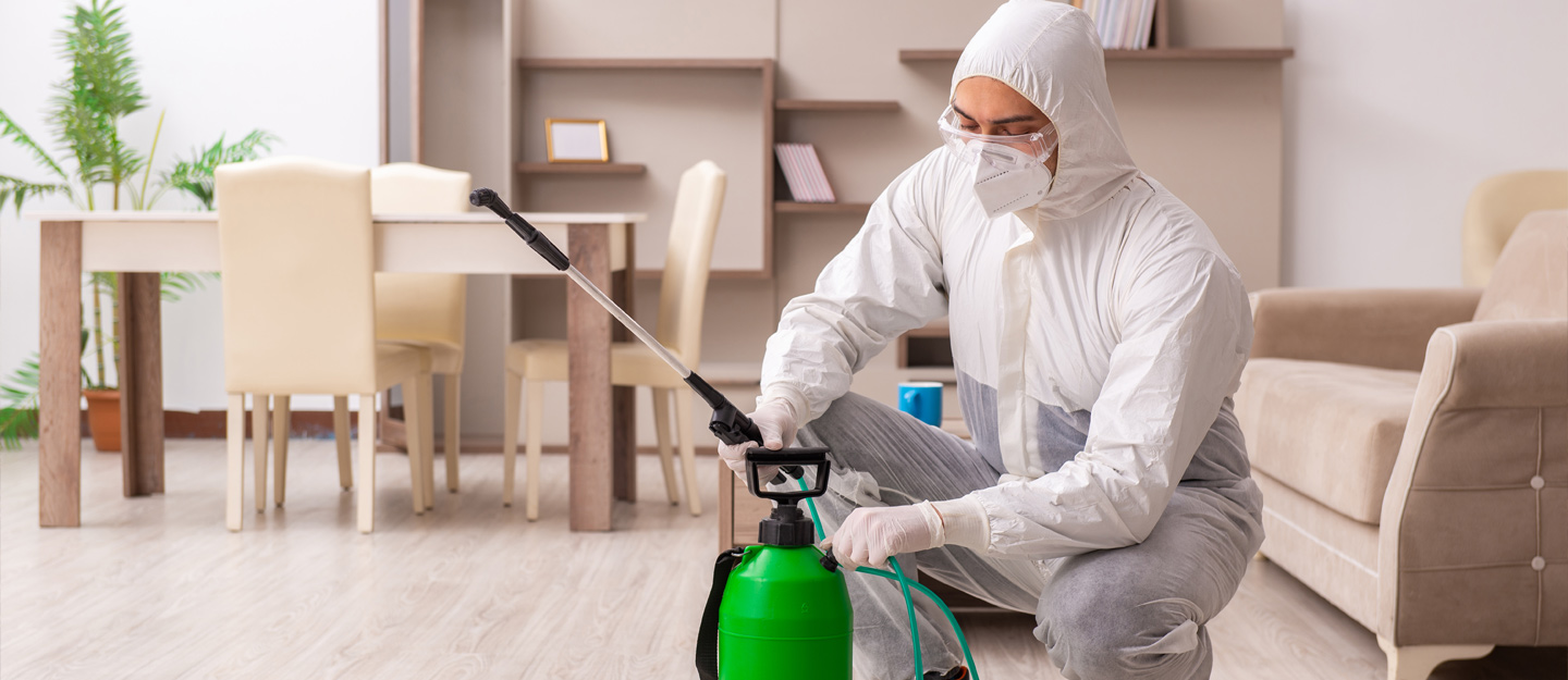 Government pest control services application in Dubai