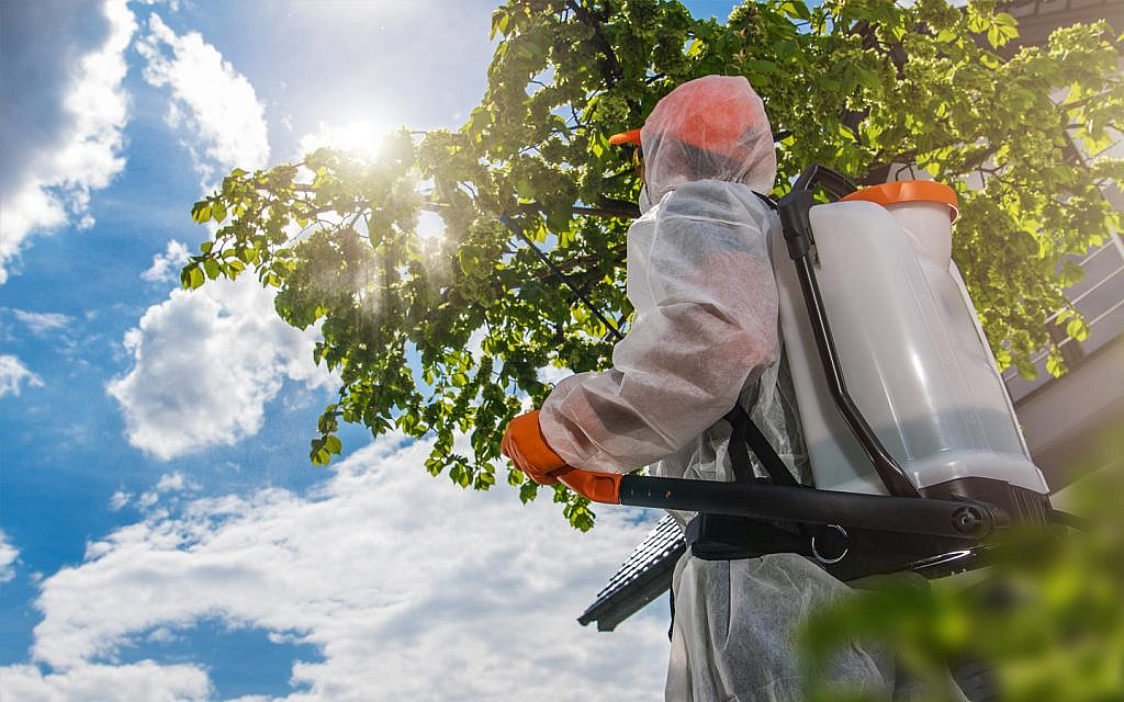 Person doing residential pest control in Ras Al Khaimah