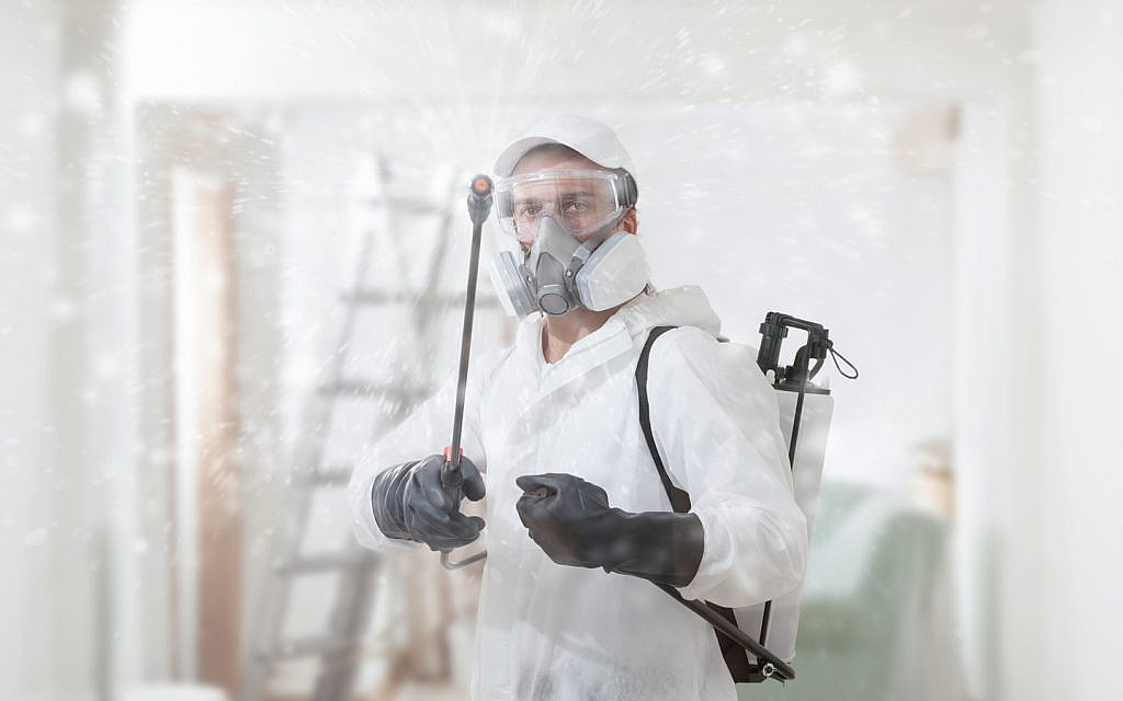 Commercial pest control in RAK is suitable for offices