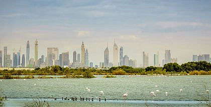 Living in Al Jaddaf