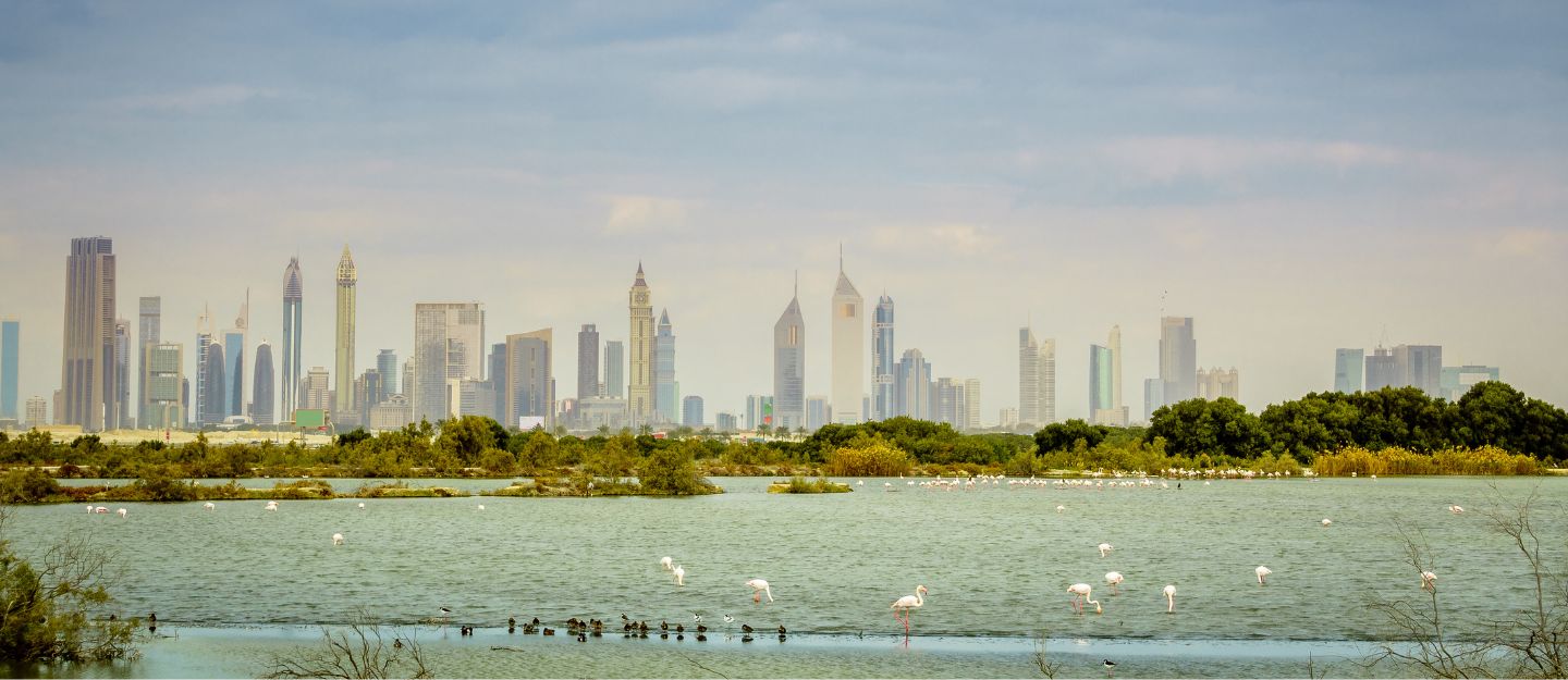 Living in Al Jaddaf