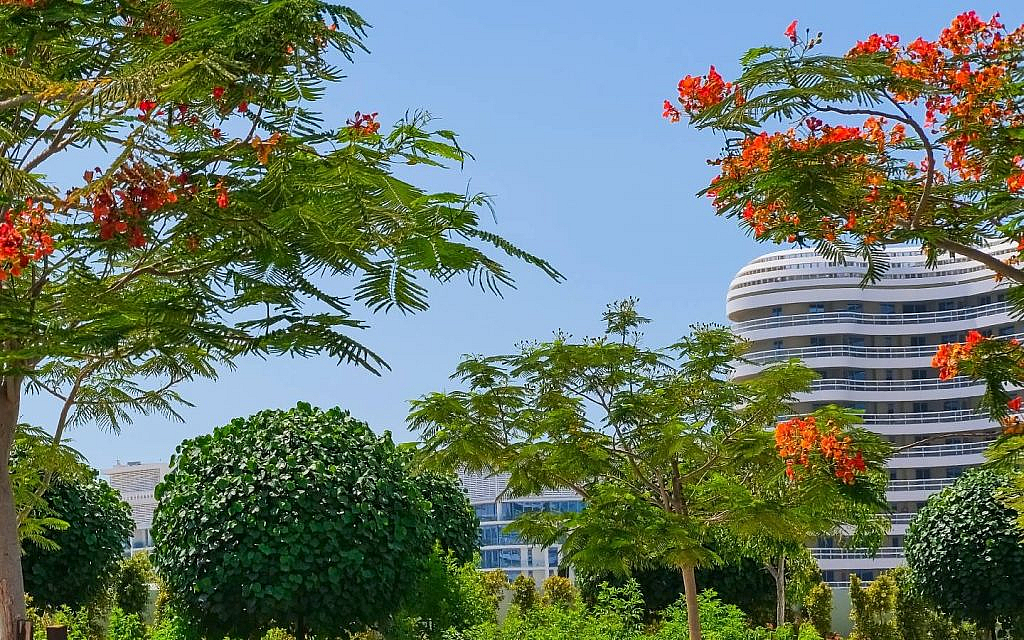 check out dubizzle listings for Sustainable Off-Plan Projects in Dubai 