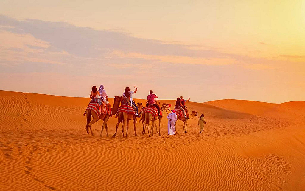 جولة سياحية على الجمال في الصحراء