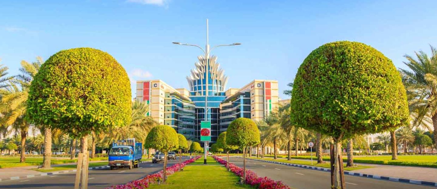View of Dubai Silicon Oasis