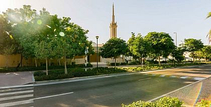 شارع في منطقة سكنية محاطة بالأشجار