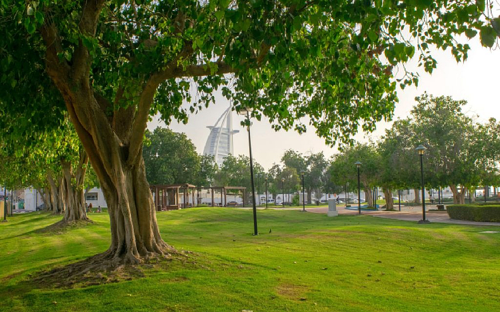 jumeirah park is famous for its greenery and lush landscapes