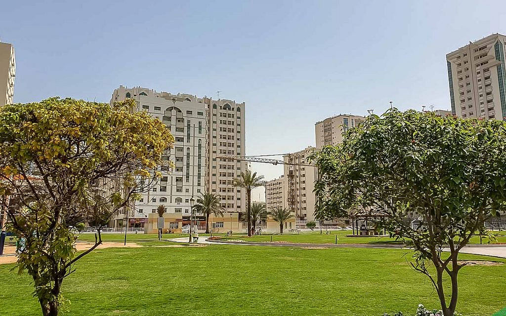 مسااحت خضراء في أبو شغارة