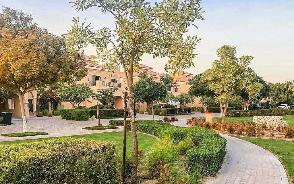 you can find several Apartment or villa rental Dubai 