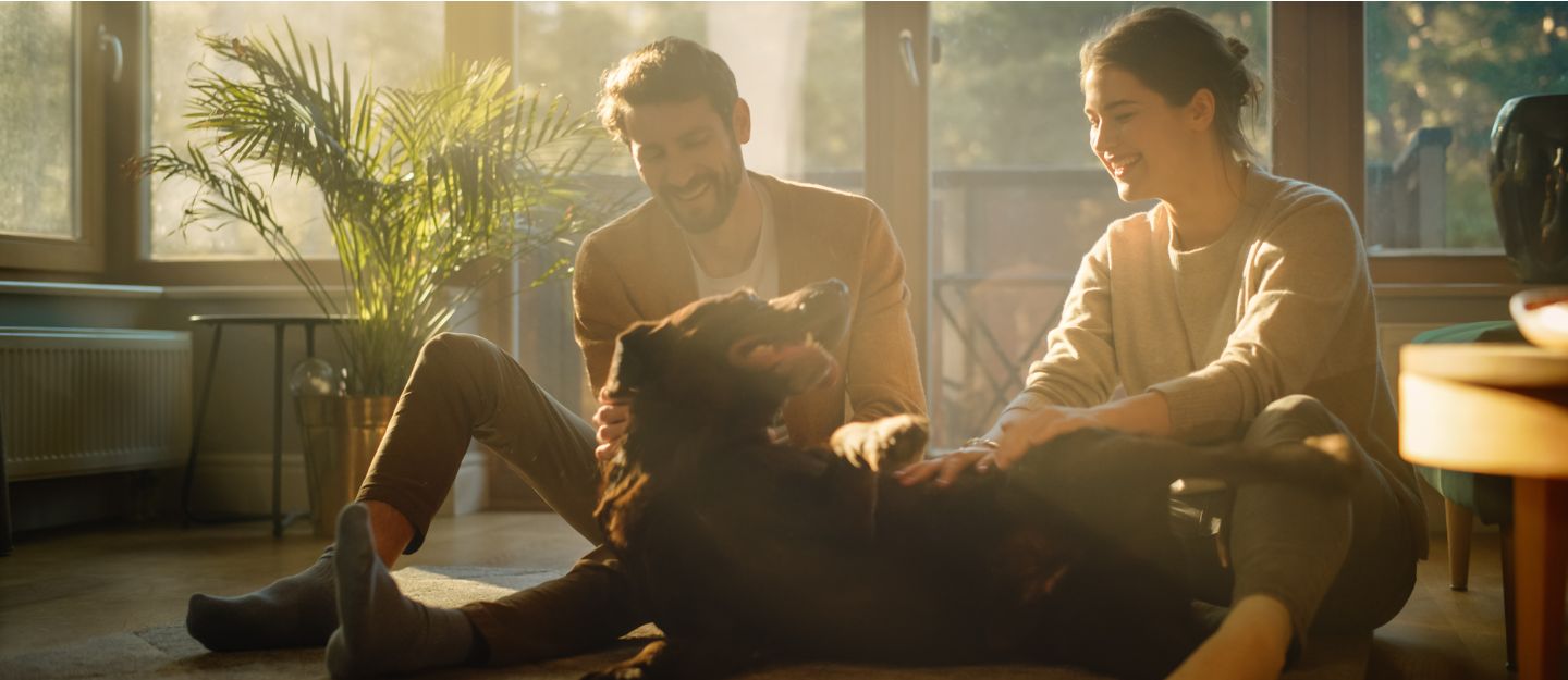 Dog-friendly rental communities in Dubai