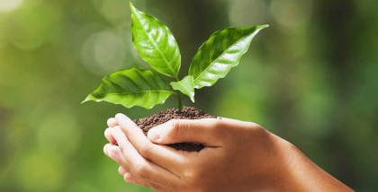 Eco-friendly off plan developments in the UAE