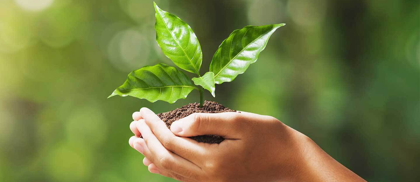 Eco-friendly off plan developments in the UAE