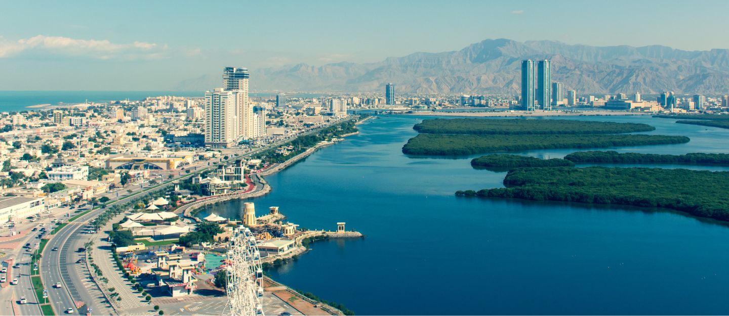 Area Overview Mina Al Arab