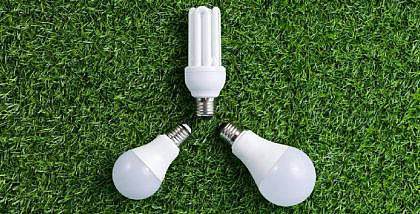 All About Tarsheed in Abu Dhabi