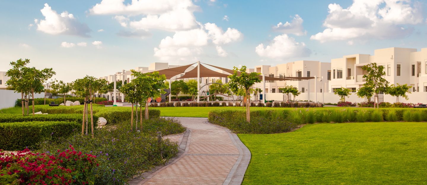 سيرينا في دبي