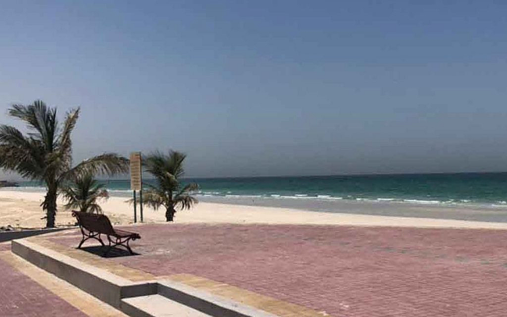 Permits and licenses from DED boost businesses in UAQ.