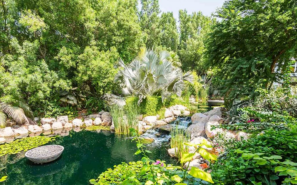 مساخات خضراء في البراري