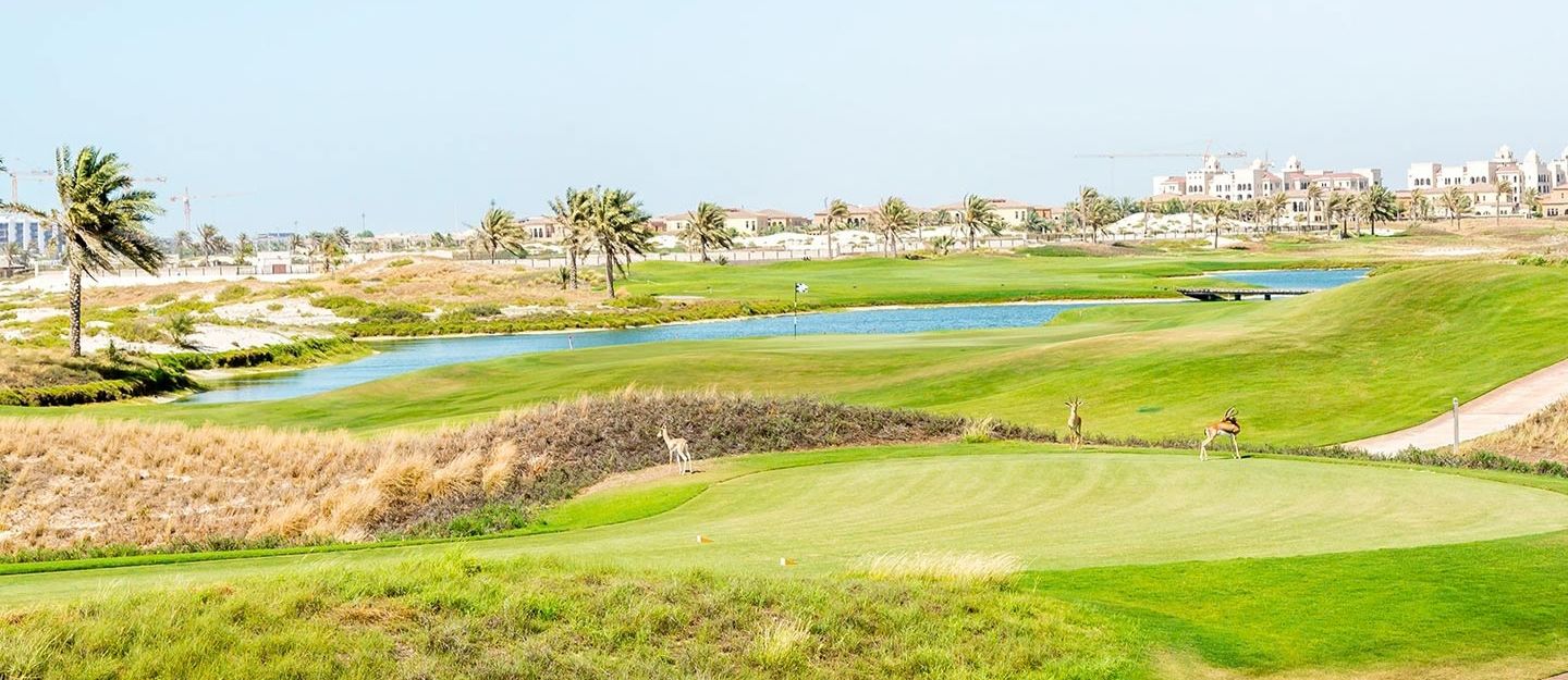 Saadiyat Island