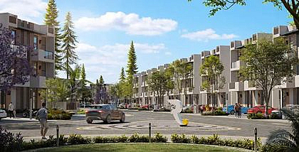 Reportage Hills