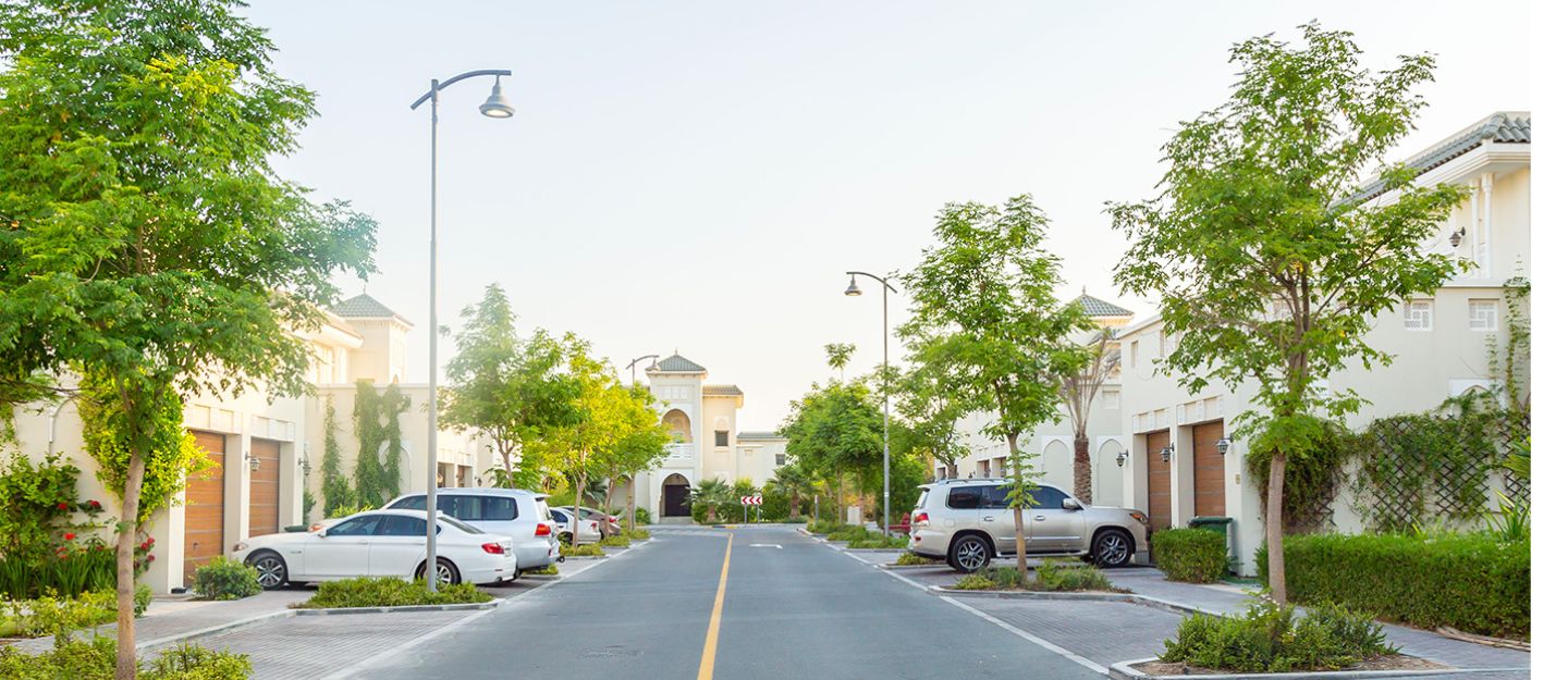 Area Overview of Nad Al Hamar