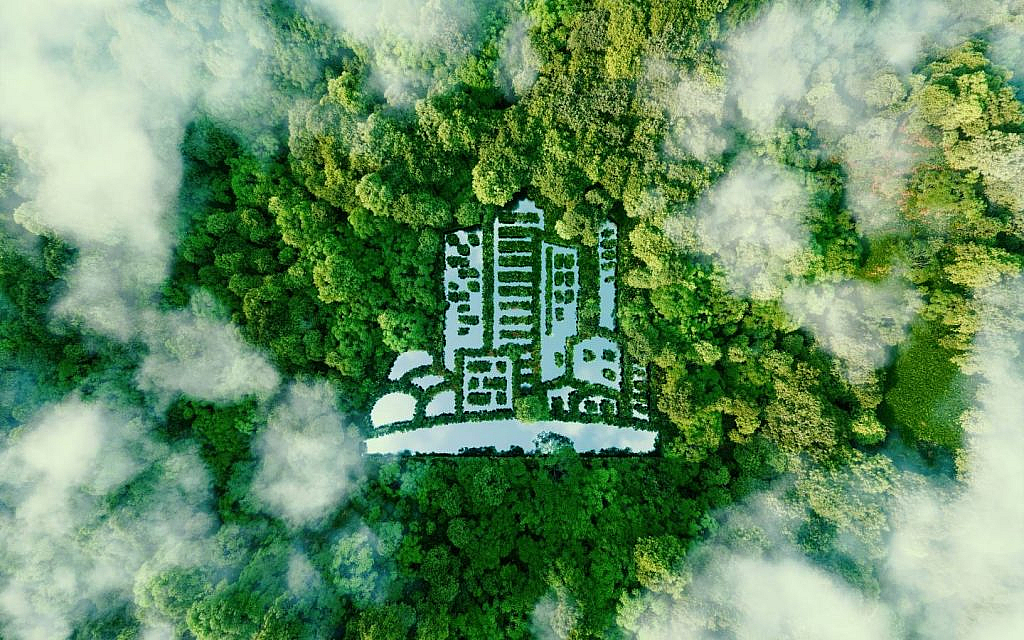 رسم لمساحات خضراء وأشجار
