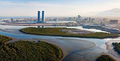 Pet-friendly Communities to Rent Villas in Ras Al Khaimah