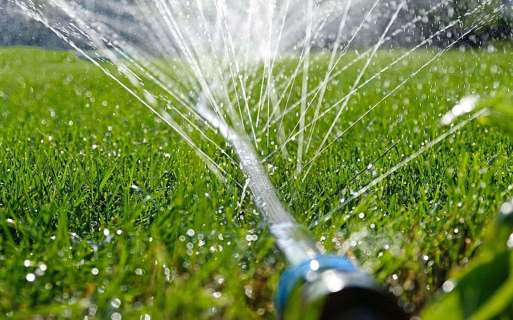 Close-up of water jets and splashes from a sprinkler watering a lawn.
