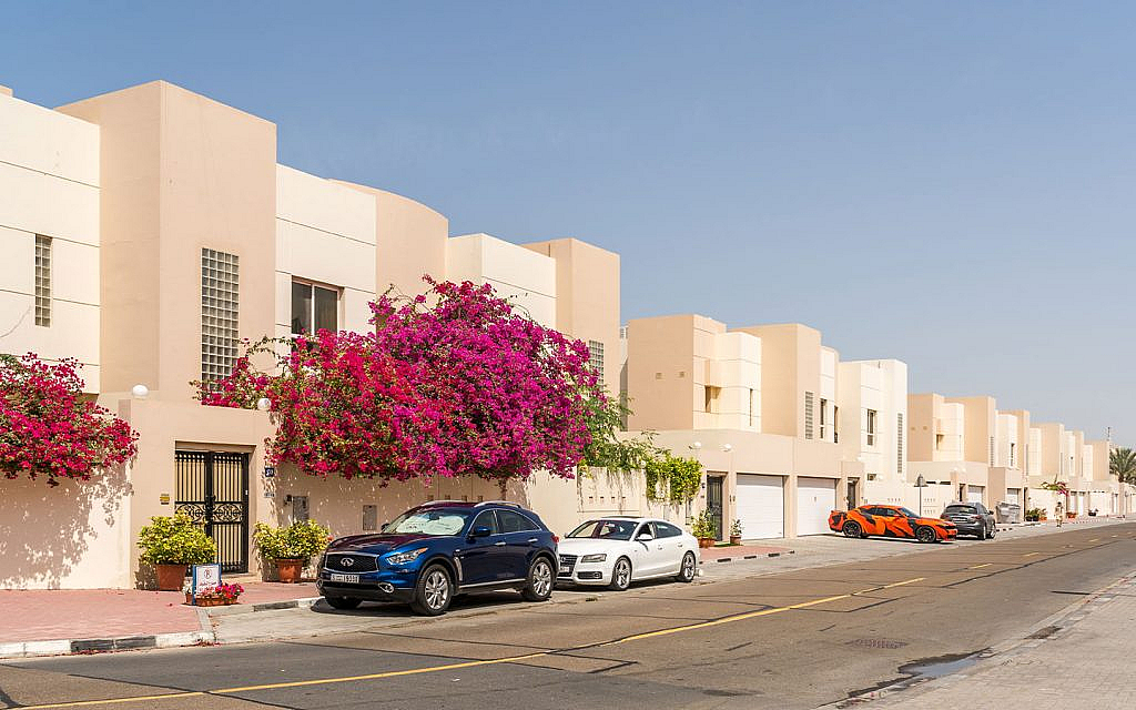 دبي الجنوب